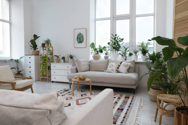 househuntz.com: Making Home Improvement Easier for Every Homeowner